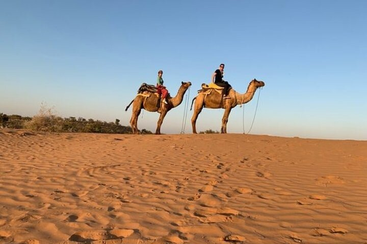 Camel Safari Day Trip From Jodhpur - Photo 1 of 5