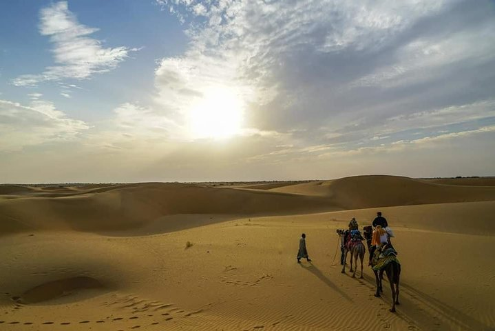 Camel safari in thar desert - Photo 1 of 4