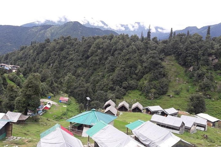 Camping in Chopta - 1 night  - Photo 1 of 16