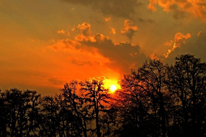 Camping in Chopta - 2 nights - Photo 1 of 16