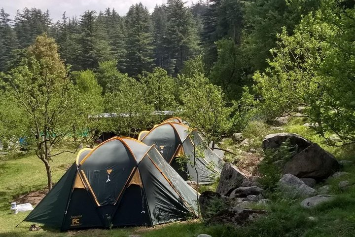 Camping in Manali  - Photo 1 of 9