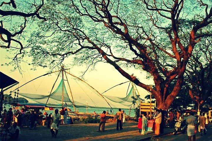Chinese Fishing Nets