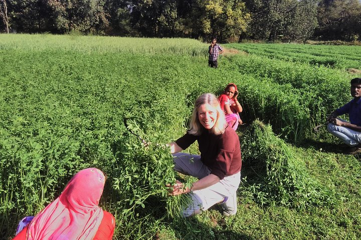 Let's help these people in their work 