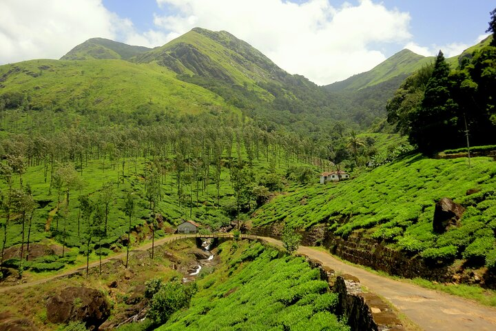 Day Trip to Wayanad (Guided Private Sightseeing Experience from Mysore) - Photo 1 of 6