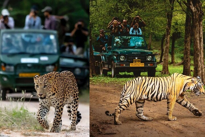 Golden Triangle with Ranthambore & Jhalana Leopard Safari Tour