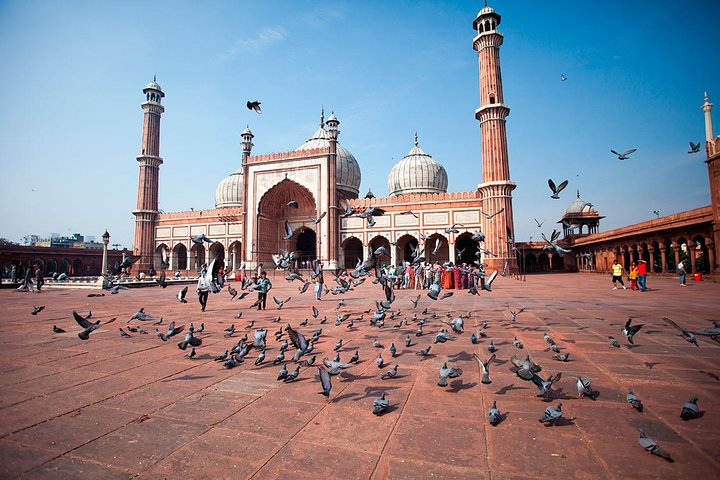 Delhi in One Day - Private Delhi Sightseeing Tour in New Delhi | Pelago