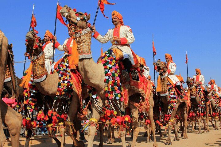 Camel festivel Jaiselmer Rajasthan