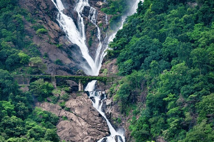 Dudhsagar Waterfalls, Jeep Safari & Spice Plantation private tour - Photo 1 of 5