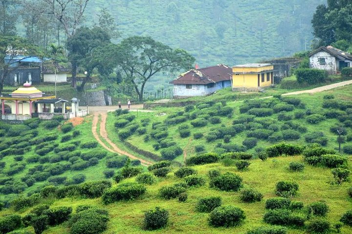 Explore The Rustic Life Of Thekkady