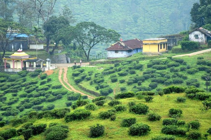 Explore The Rustic Life Of Thekkady