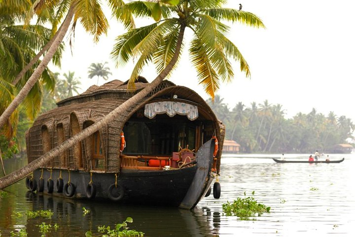 From Cochin Port: Backwater Cruise by Houseboat - Photo 1 of 7