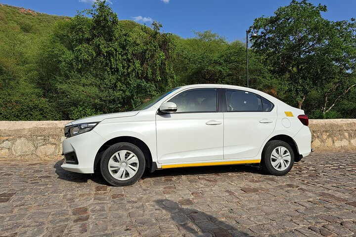 From Delhi: All-Inclusive Package of 4 Hrs Keoladeo National Park - Photo 1 of 5