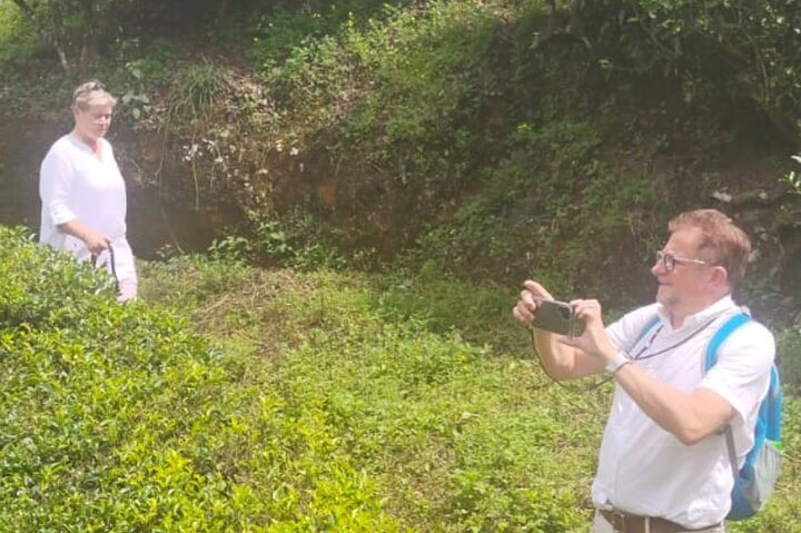 From Kochi: Day Tour to Munnar with Tea Garden and Waterfalls - Photo 1 of 7