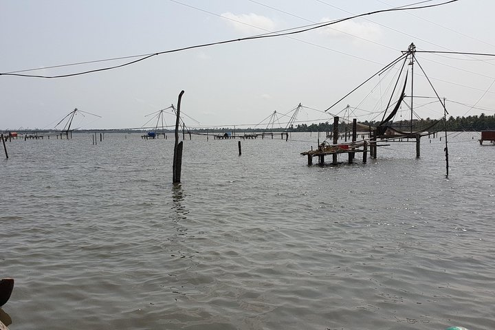 Full Day Kumbalangi Village Tour - Photo 1 of 4