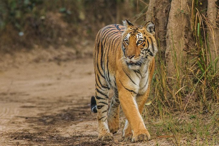 SARISKA NATIONAL PARK