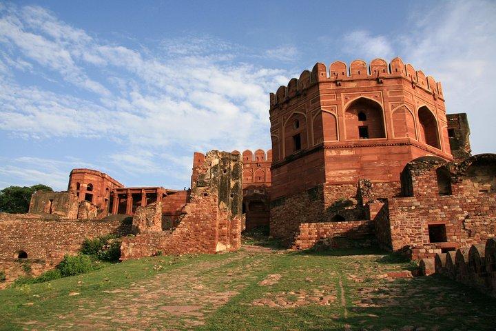 golden triangle tour packages india ranthambore with tiger safari