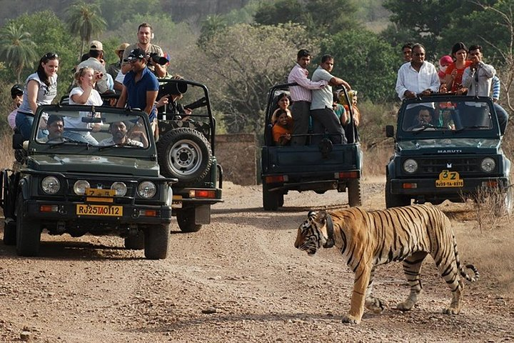 Ranthambore National Park