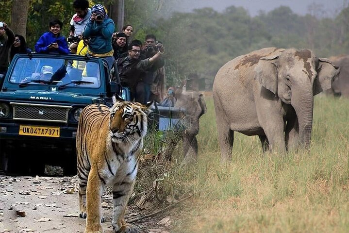 2 - Days: Jim Corbett jungle safari tour from Bangalore by Flight - Photo 1 of 9