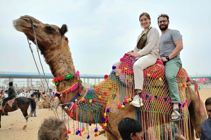 8-Day Golden Triangle & Rajasthan Private Tour from Delhi - Photo 1 of 25