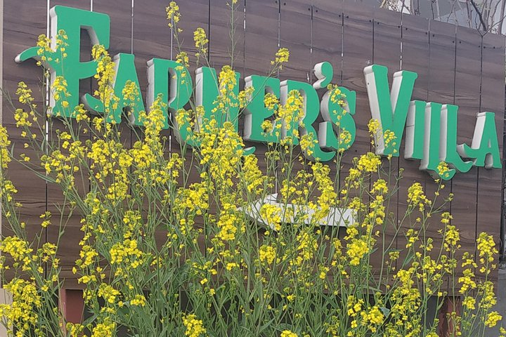 Guided Amritsar Village Tour - Photo 1 of 7