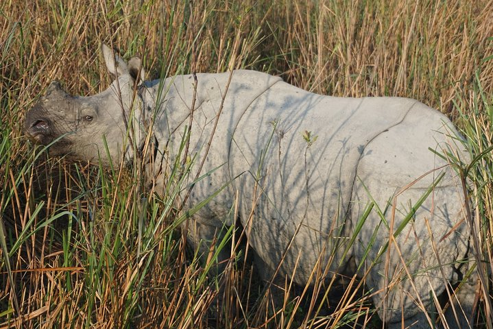 Guwahati, Kaziranga & Majuli Island Tour - Photo 1 of 11