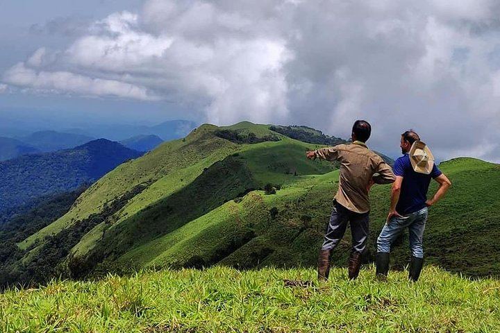 Half Day Guided Trek - Photo 1 of 11