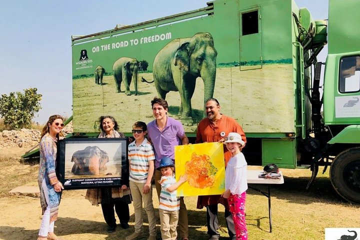 Half-Day Private Sightseeing tour to Wildlife SOS from Agra - Photo 1 of 2