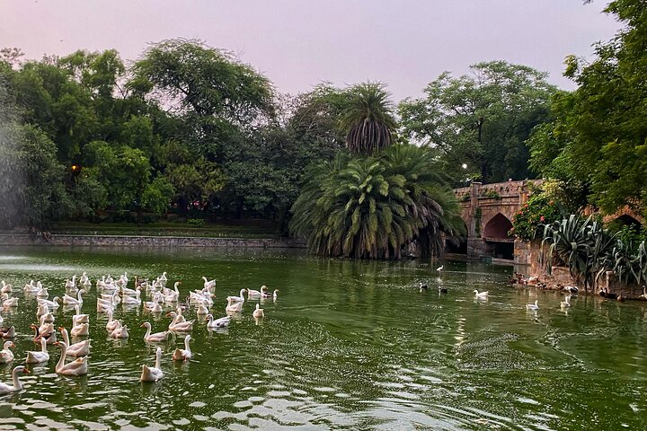 Heritage Delhi Private Walking & Shopping Tour - Photo 1 of 11