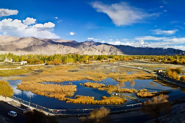 Ladakh 5-Star Premium Tour 7 Days - Photo 1 of 8