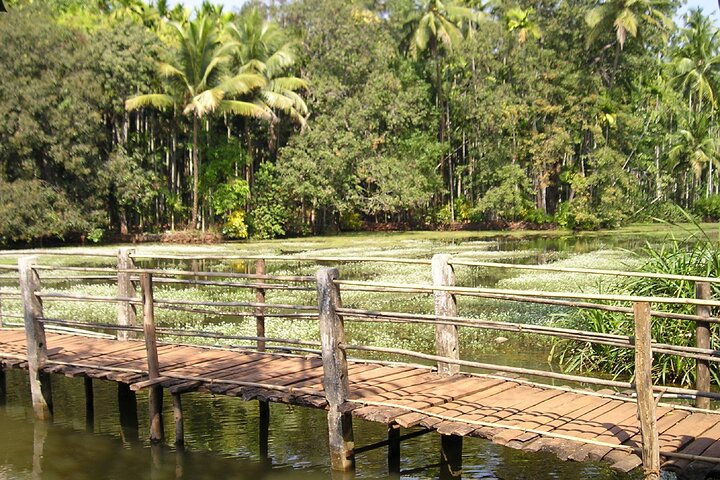 Highlights of South Goa with Spice Plantation Tour (Guided Fullday Tour by Car) - Photo 1 of 6