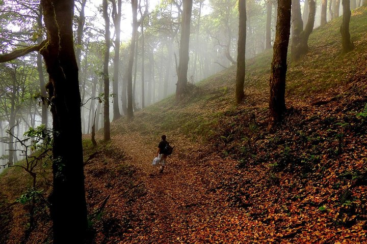 Himalaya Nag Tibba trek Private tour from Dehradun - Photo 1 of 8