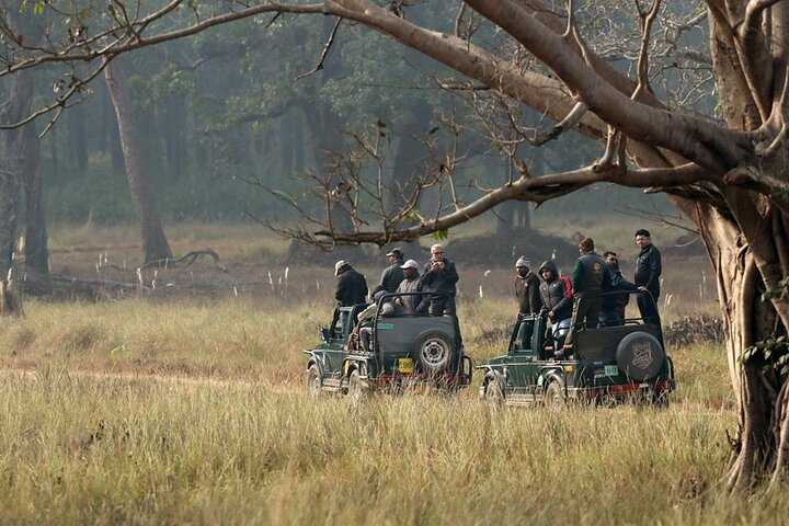 Wildlife Safari in Bandhavgarh, Kanha & Pench National Parks - Photo 1 of 21