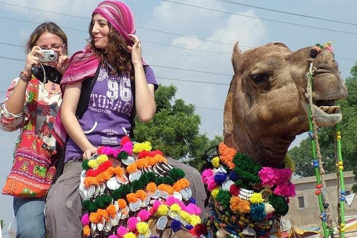 INDIA TOUR (11 Nights /12 Days) - Photo 1 of 6