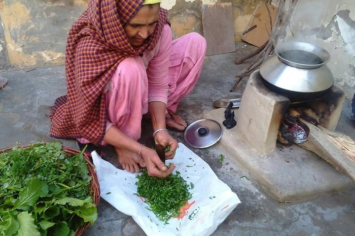 Indian Village Cultural Full Day Private Tour - Photo 1 of 16