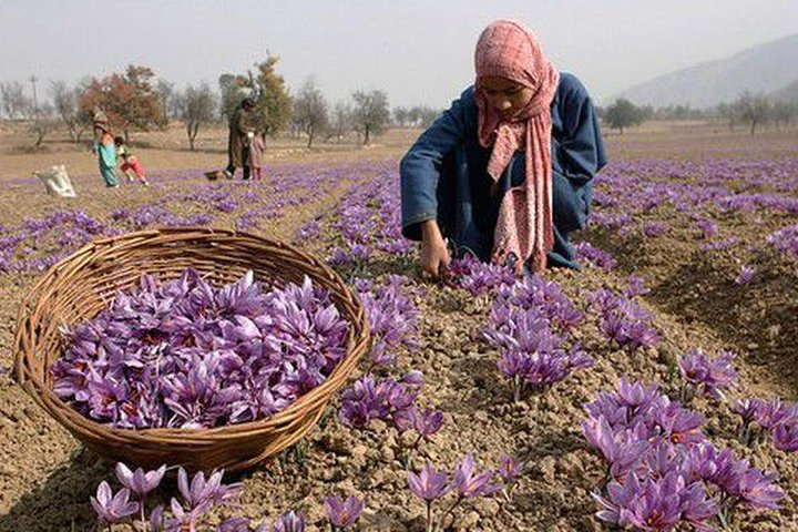 7 Days Romantic Kashmir Honeymoon Package with Houseboat Stay - Photo 1 of 25