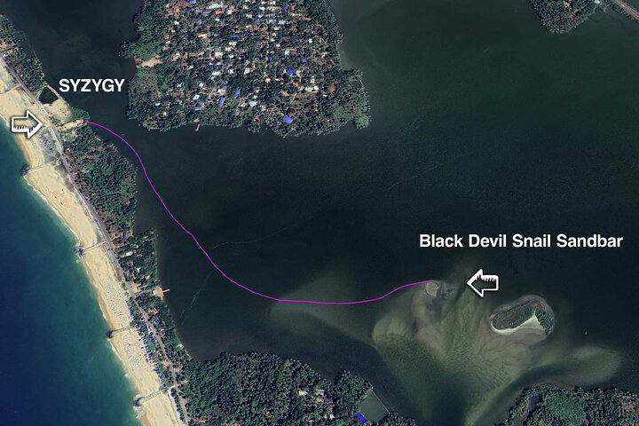 Kayaking to the Black Devil Snail Sandbar Island in Paravur Lake