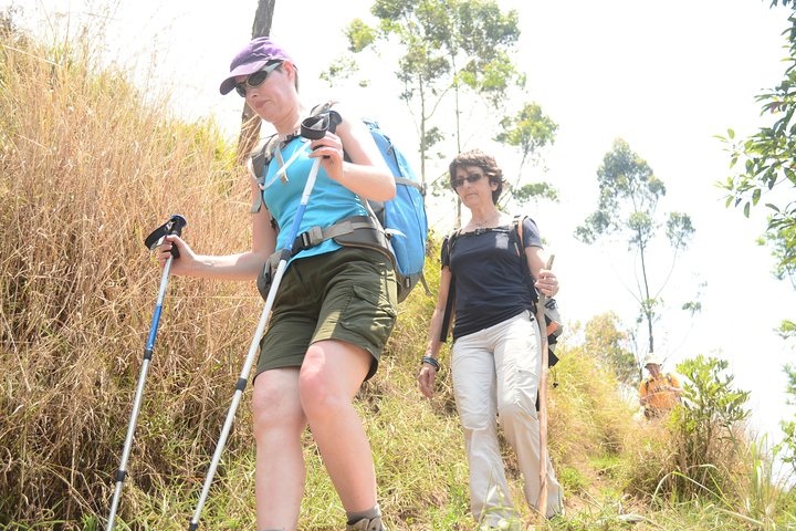 Kerala Multi Activity Tour - Photo 1 of 20