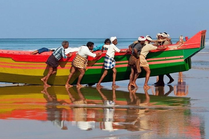 8-Day Kerala Tour Package with Private Transfers & Stay - Photo 1 of 7