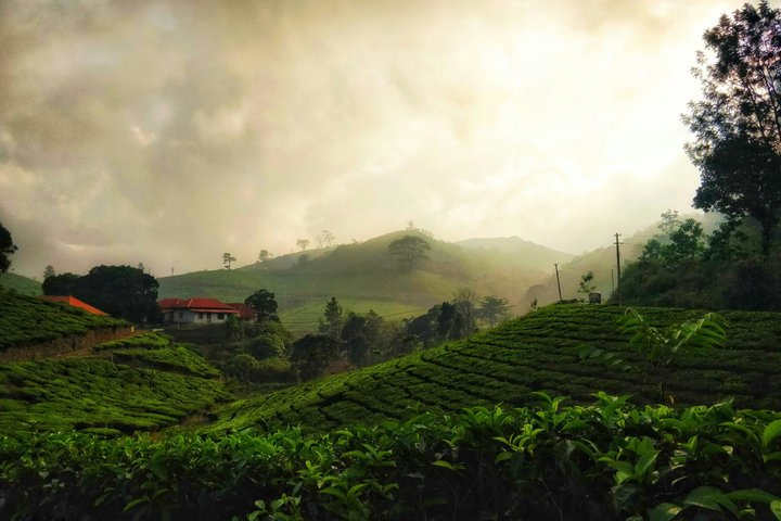 Kerala Private Tour Package - Photo 1 of 12