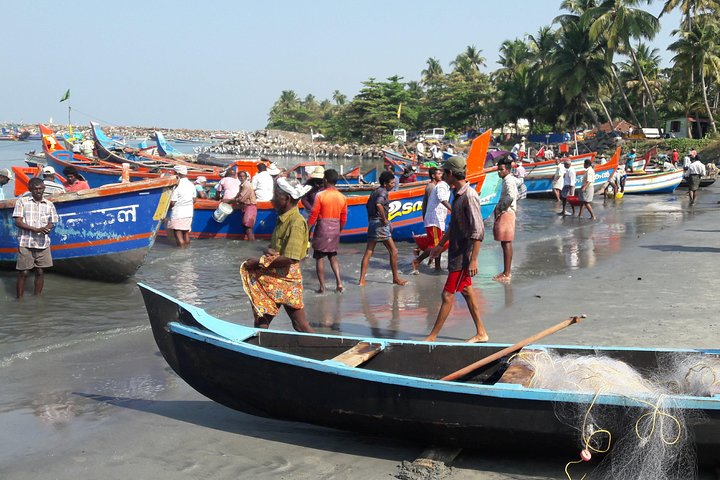 Morning sight at Chellanam Fishing Harbor