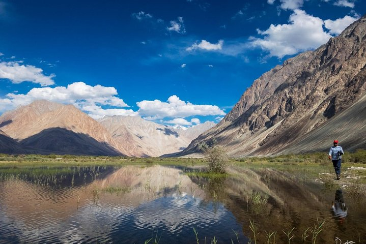 Ladakh Mesmerising Tour