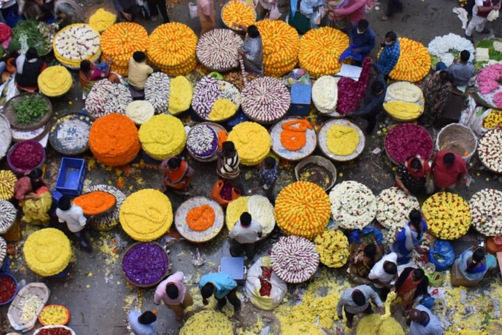 Lalbagh+Bull Temple+Tipu Palace+Market+Lunch=Bangalore City Tour - Photo 1 of 11