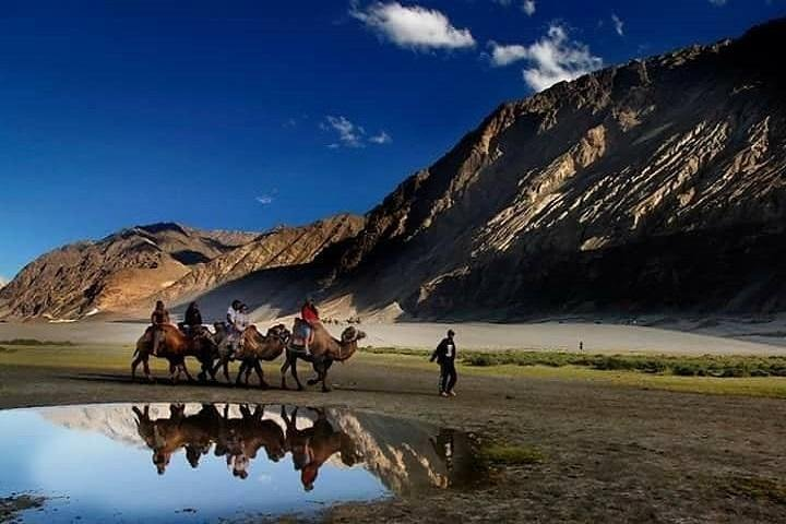 LEH LADAKH TOUR (5 Nights /6 Days) - Photo 1 of 6