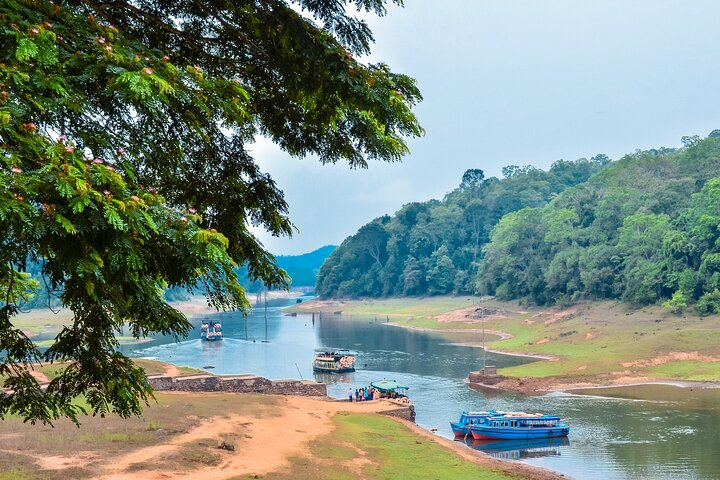 Madurai: Daytrip to Kodaikanal (Guided Sightseeing Tour by Car) - Photo 1 of 6