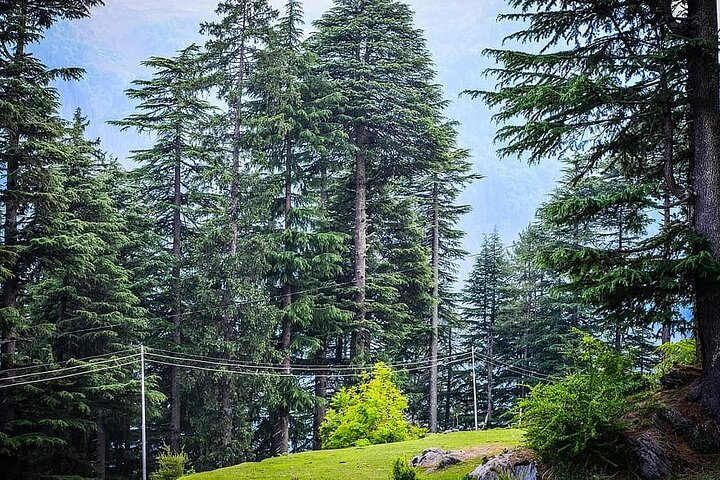 Magical Manali Honeymoon Package - Photo 1 of 3