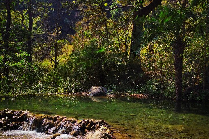 Moderate Himalayan Treks Near Rishikesh From Delhi - Photo 1 of 9
