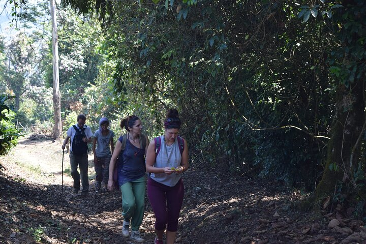 Munnar Trekking (Amazing Munnar Adventure Tours) - Photo 1 of 10