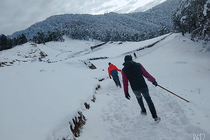 Nagtibba Trek (Dehradun to Dehradun) - Photo 1 of 9