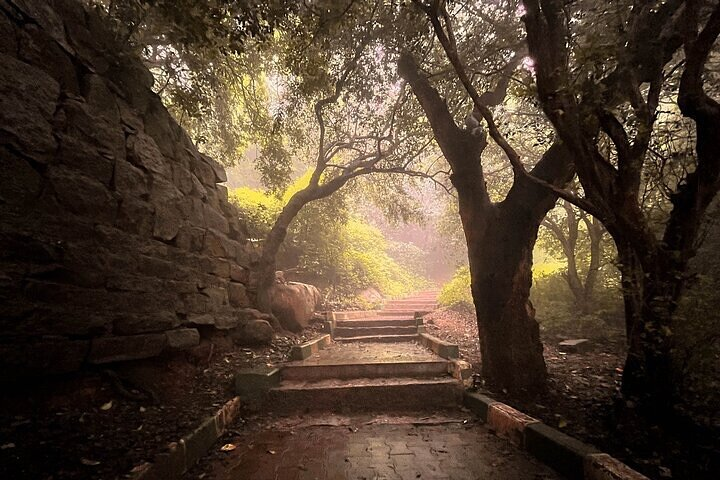 Nandi Trail Tour - Photo 1 of 25