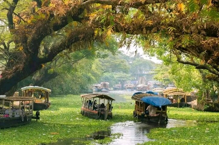 Gondolas in Kerala Backwaters.